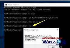 xp系统永久激活密钥winxp密钥生成器_4689windows10激活密钥_xp系统