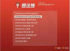 windowindows正版下载官网 ws正版下载官网,进入以后在左侧选择“操